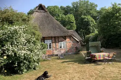 Image de Magnifique maison de vacances privée pour 6 personnes avec Wifi, animaux admis et parking