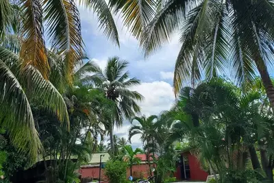 Image de Bungalow chez Mouch Nosy-Be
