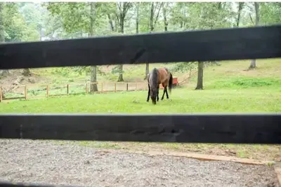 Image de Half Moon Farm