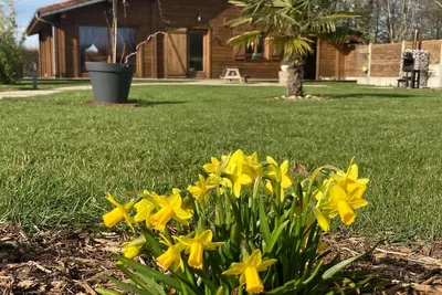 Image de Gîte proche de la côte d’opale entouré d’animaux.