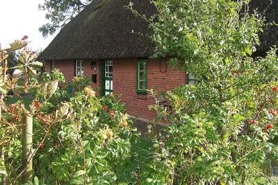 Image de Maison au toit de chaume Kehl
