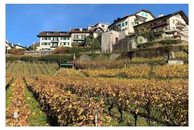 Image de La Vigneronne, Jardin