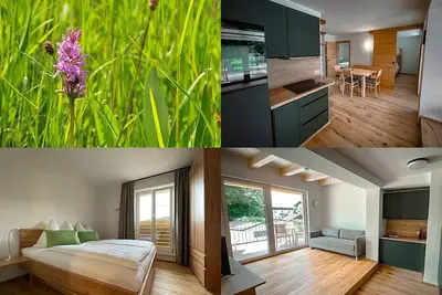 Image de Beauty of nature (Fw 3) - Seespitz 37 - Eisendle vacation apartment