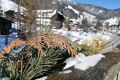 Image de Appartement Moni \/ Golf & Ski - Top 9 - Appartement Moni \/ Golf & Ski Top 9