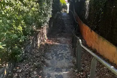 Image de Maison Familiale Dans Sa Pinede  Avec  Vue Et Acces Plage