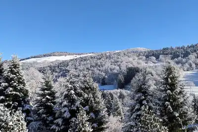 Image de Appartement spacieux, situé dans la vallée de Munster avec vue sur la montagne