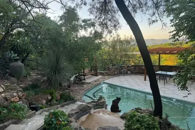 Image de Private & peaceful country cottage bordering the Rhenosterspruit Nature Reserve.