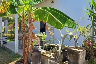 Image de Cozy Tropical Escape-1 Bedroom