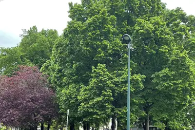 Image de Appartement Dans Résidence Calme et Entouré dun Parc Boisé