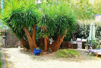 Image de T2 jardin + terrasse couverte, centre Le Pradet, à 5 minutes des plages