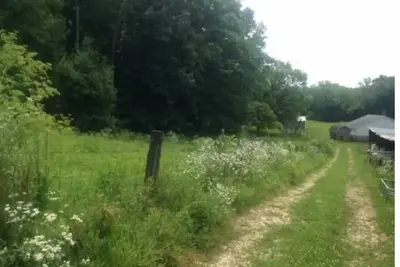Image de Celtic Glen Farm Stay - Shady pasture overlook\n