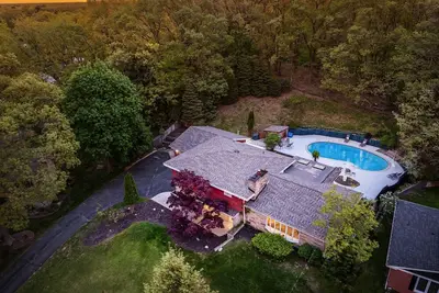 Image de Swimming in the Woods