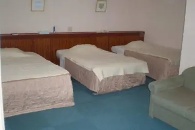 Image de Nonsmoking Deluxe Twin for 2 people  No meal / Oshimagun Kagoshima