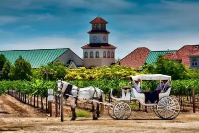 Image de Vineyard Casita near Wineries and Galway Downs\n