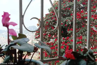 Image de Darjeeling, Adrija Luxury Homestay & Apartments