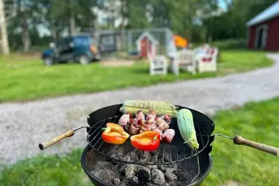Image de Gezellig Zweeds Huis in het bos met Ruime Tuin