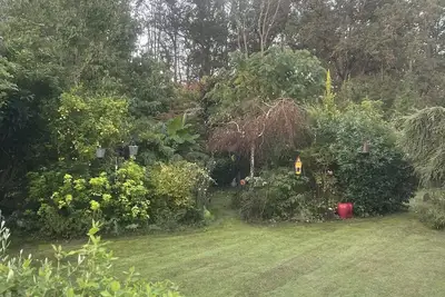 Image de Gîte entre Seine et foret