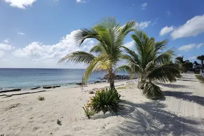 Image de Tranquil Marina View Retreat: Unit 16f at Bimini Cove Resort and Marina
