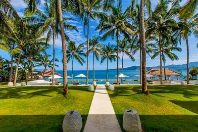 Image de Coconut Palms and Endless Blue Skies!