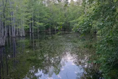 Image de Private camping near Panama City and Panama City Beach. Includes a fire pit 🔥