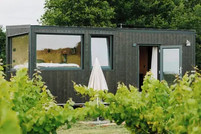 Image de Tiny House La Vendange | Au cœur des vignes!
