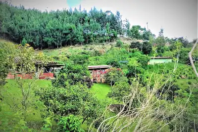Image de Tesorito House en las Montañas del Quindío