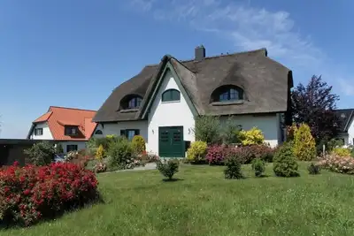 Image de Weisse Möwe, Deutschland