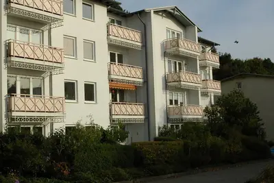 Image de Lachmöwe - Lachmöwe mit Terrasse