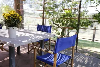 Image de The Mandrioli, a house surrounded by nature.
