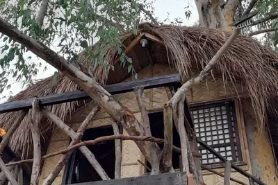 Image de Traveler's Treehouse near Mapanuepe Lake