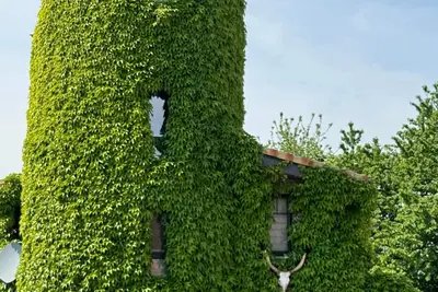 Image de Ferienhaus für 3 Gäste mit 80m² in Voerde