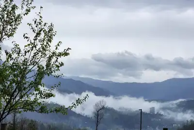 Image de Smokey mountain 2 bedroom villa with indoor waterpark access. Pet friendly!