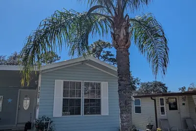 Image de Zephyrhills Florida close to Tampa, Zoo, Hard Rock, and Bush Gardens. \nPool.