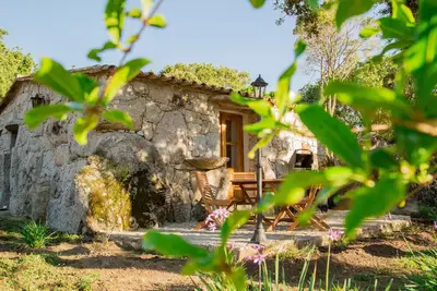 Image de Domaine Pardini - Casetta Listincu