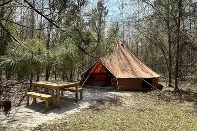 Image de Leroys Lounge Xl Bell tent sleep 8 Farm therapy mini horse, cows, goats & chicks