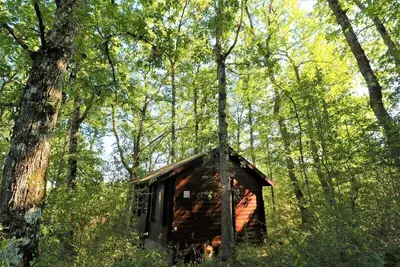 Image de Tiny house en forêt avec vue
