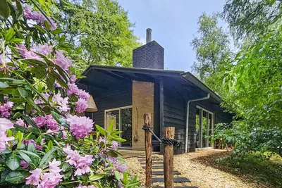 Image de Belle maison à Rheezerveen avec sauna