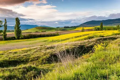 Image de Close to two big towns and the airport
