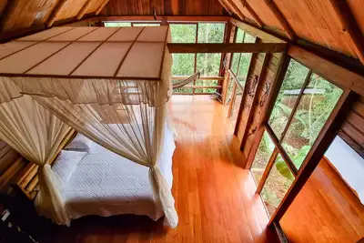 Image de Sweet Home Amazon Region