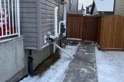 Image de Basement suite near Windermere Edmonton
