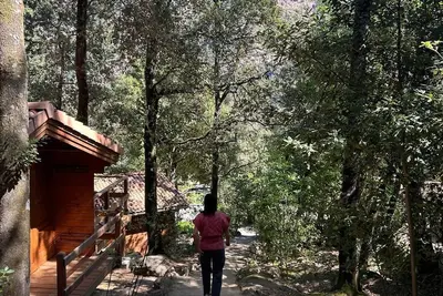 Image de Chalet de location au cœur de la forêt. Randonnées entre rivière et montagne