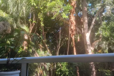Image de Your Coral Coast Resort Inn