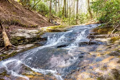 Image de Waterfall Cabin, newly re-designed cabin near Helen - Mountain Paradise