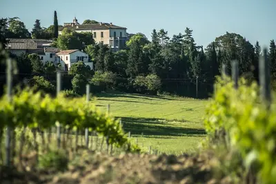 Image de Mas de Puechredon, grande demeure familiale au coeur d'un domaine viticole!