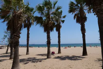 Image de Bel appartement vue mer avec spa à 10mn des plages