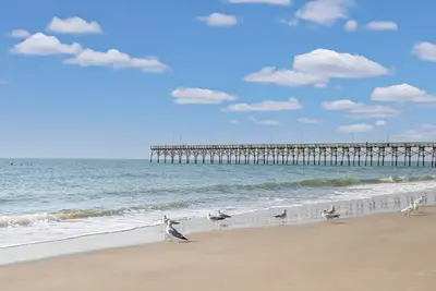 Image de Dog Friendly 2 Br Condo - OceanWalk, Large pool, Elevator, close to Beach