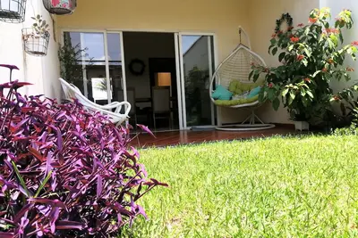 Casa Acogedora Minimalista Decorada con Naturaleza
