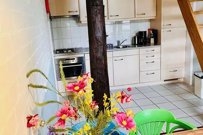 Image de Appartementenboerderij ''de Veurdeale'' in Havelte, Steenworp van Giethoorn