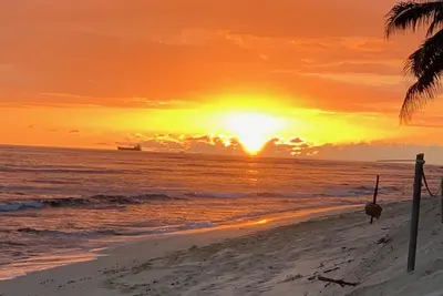 Image de Sunny Hawaii BeachFront Property