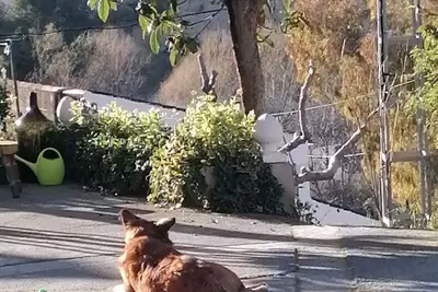 Image de Casita Rural Rodeada por la Naturaleza se Admiten Mascotas